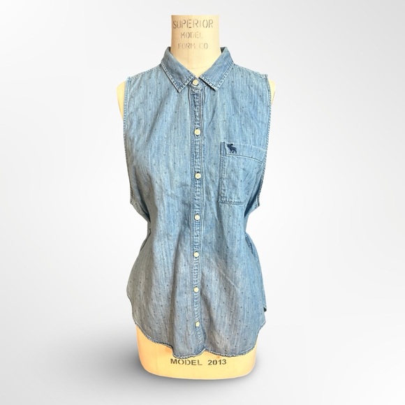 Abercrombie & Fitch Tops - Abercrombie & Fitch sleeveless chambray button down shirt women's size large